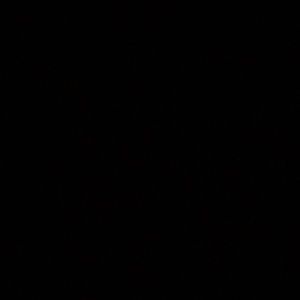 Meet your Posher, Ellen